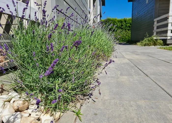 Gościniak Domek letniskowy *